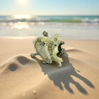 Shell Ring